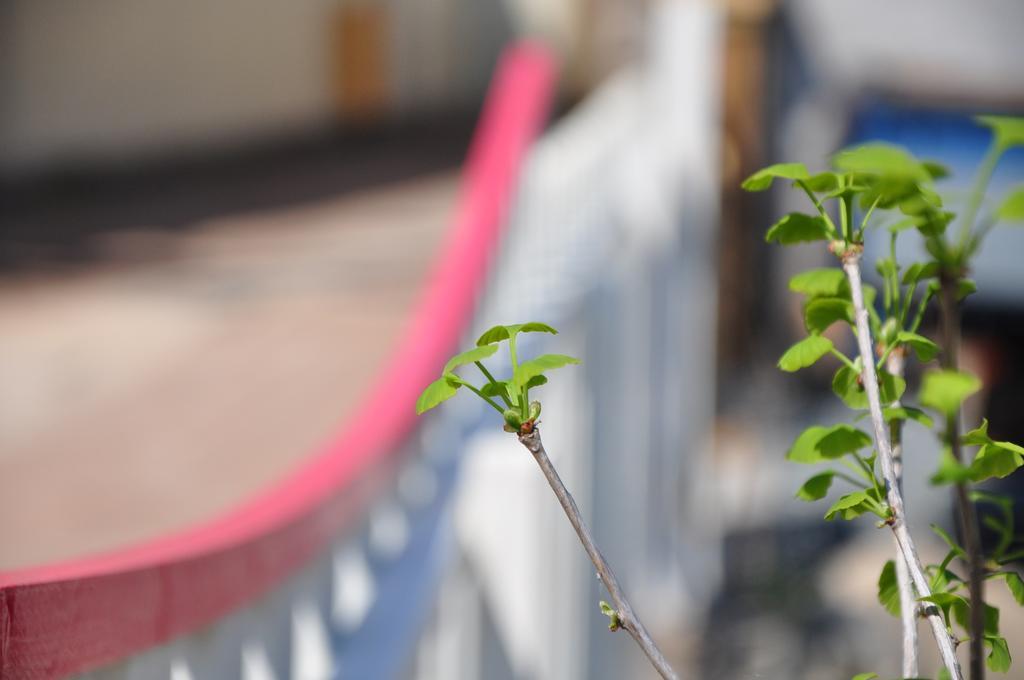 Soi Hanok Stay Kjongdžu Exteriér fotografie